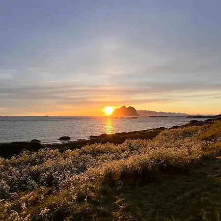 Prestholmen Lofoten Tatil Evi
